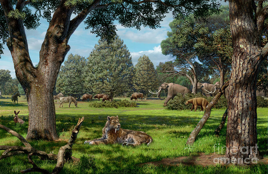 Prehistoric Photograph - Pleistocene Of North America by Mauricio Anton/science Photo Library