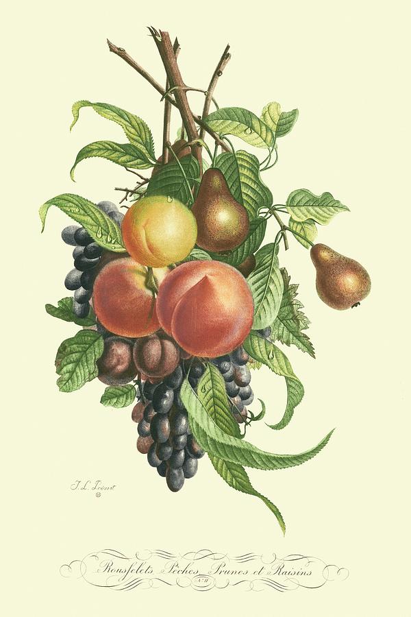 Grape Painting - Plentiful Fruits I by T.l. Prevost