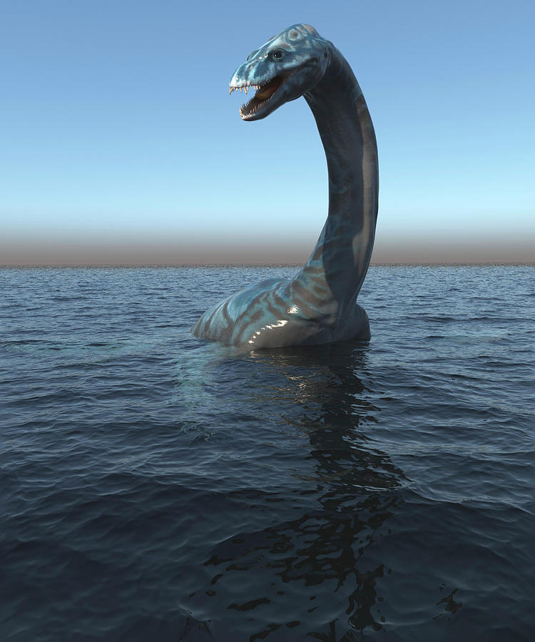 Plesiosaur Dinosaur In Its Ocean Photograph by Robert Fabiani