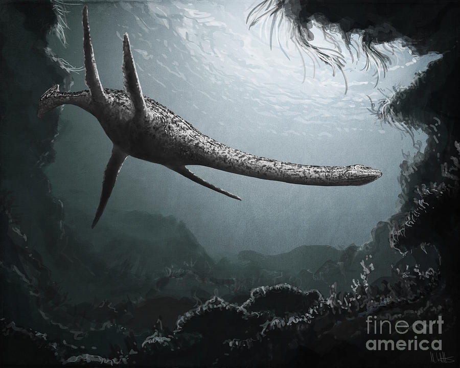 Plesiosaurus Marine Reptile Photograph by Mark P. Witton/science Photo Library