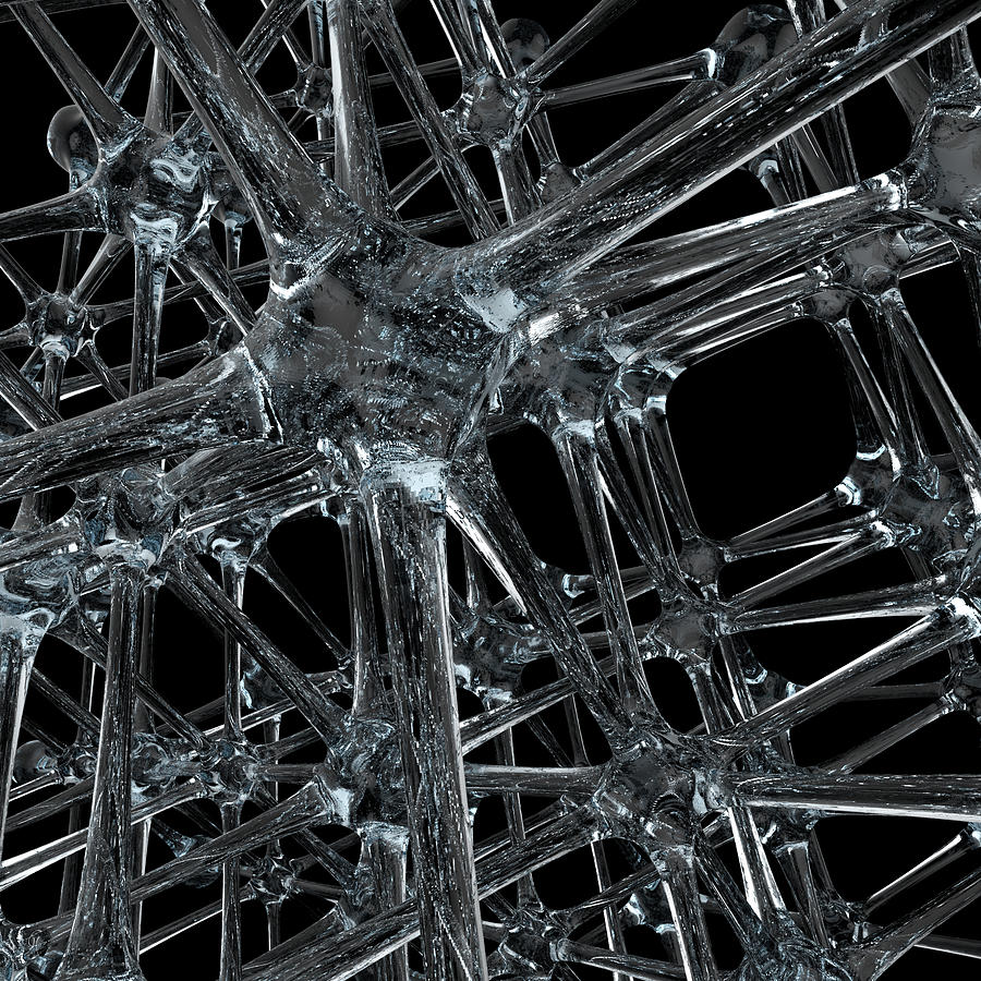 Plexus Photograph - Plexus by Carmen Hathaway Plexus Photograph - Plexus by Carmen Hathaway