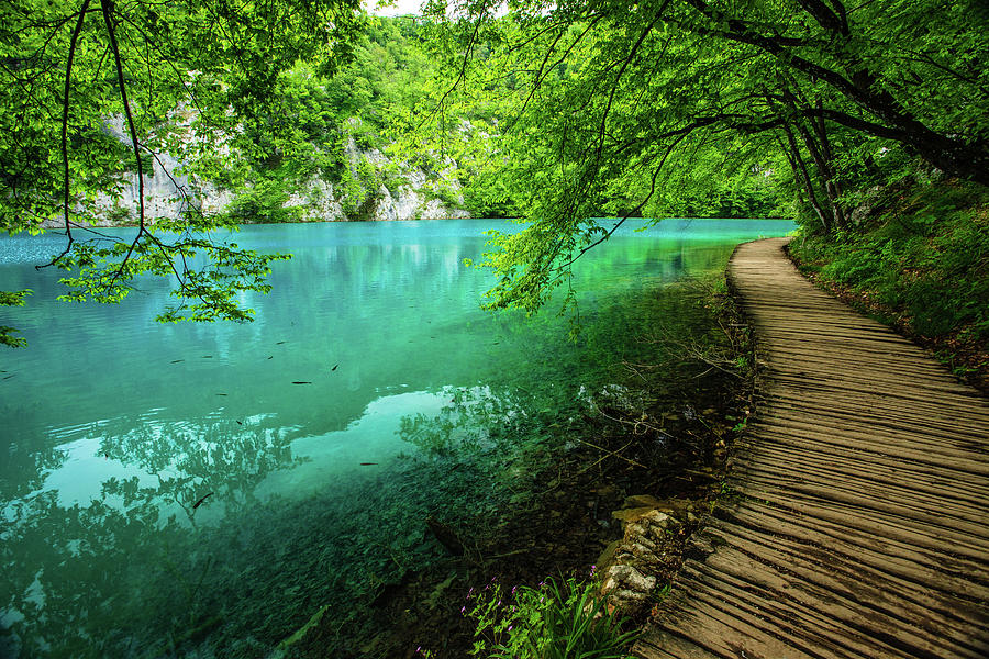 Plitvice Lakes National Park Photograph by Kelly Cheng Travel Photography