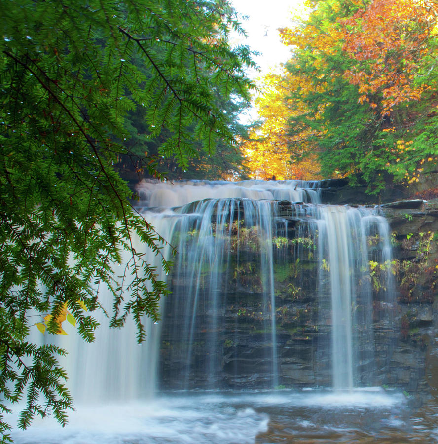 Plotter Kill Falls Photograph by Joel Fuschino