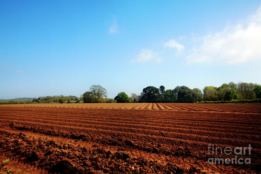 Ploughed Fields Photograph by Terri Waters