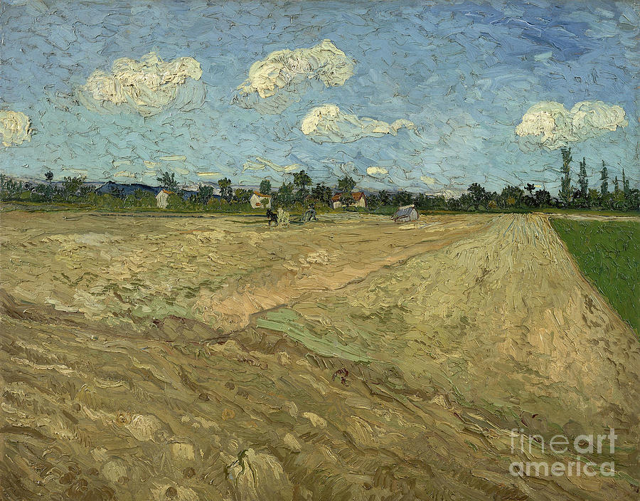 Ploughed Fields The Furrows, 1888 Drawing by Heritage Images