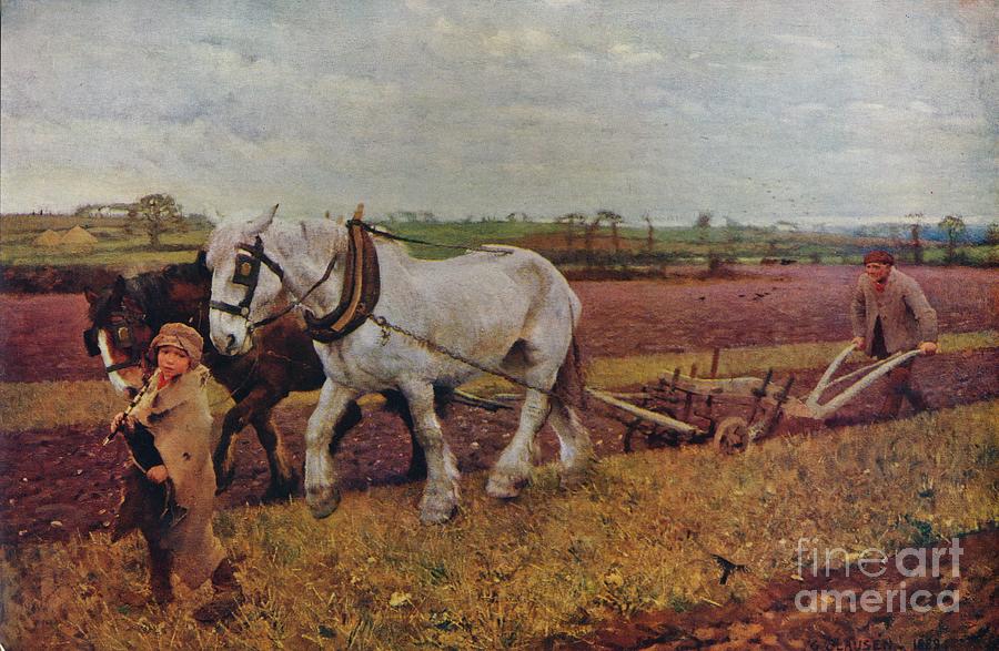 Ploughing Drawing by Print Collector