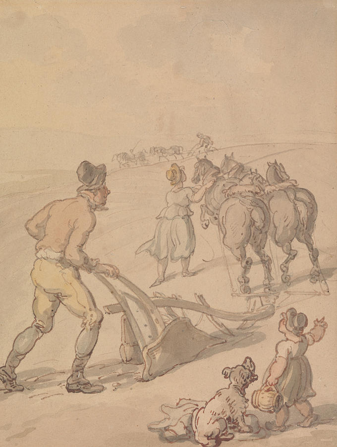 Ploughing Drawing by Thomas Rowlandson