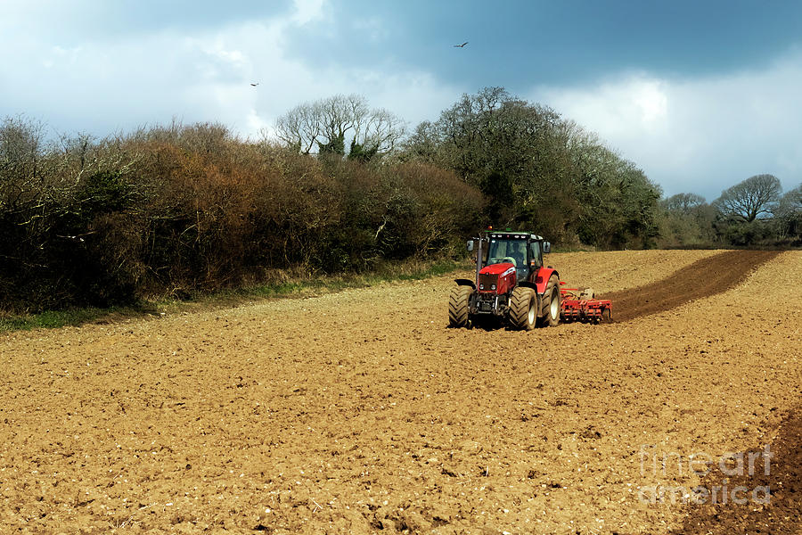 Ploughing Time Photograph by Terri Waters