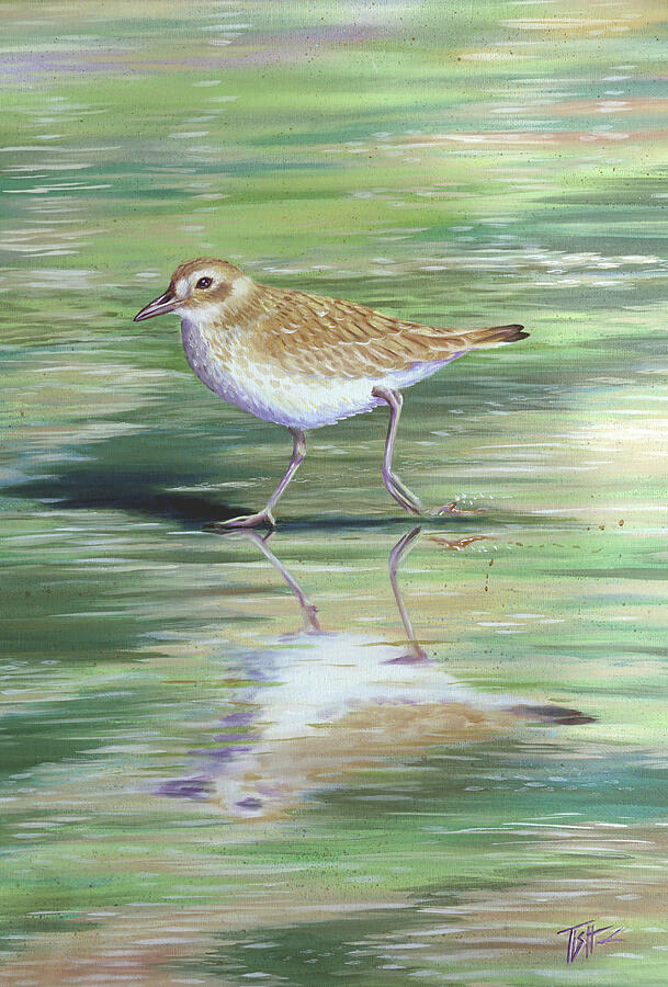 Plover Reflections Painting by Tish Wynne