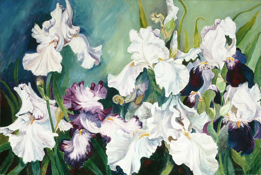 Plum And White Iris Painting by Joanne Porter