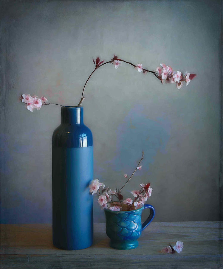 Plum Blossom Photograph by Fangping Zhou