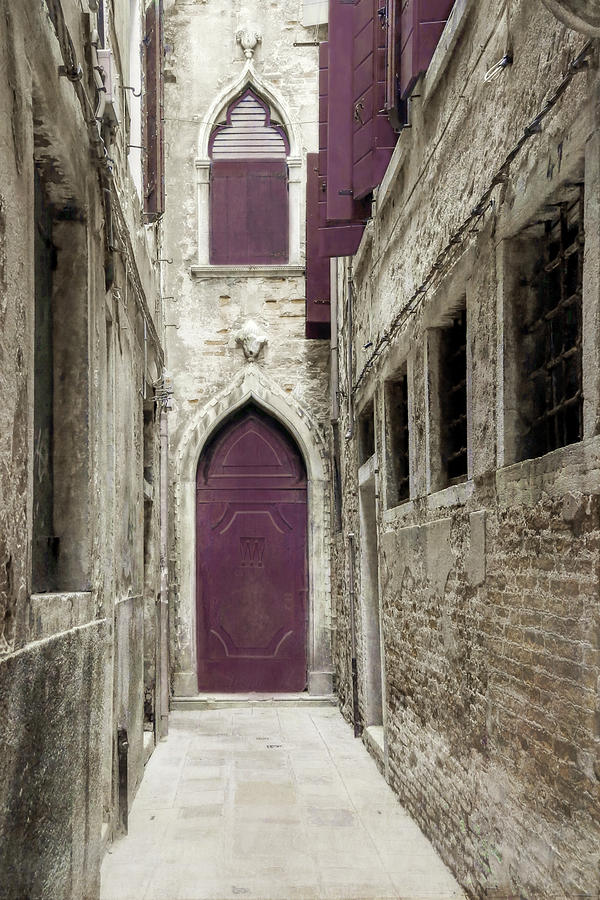 Plum Door - Venice, Italy Photograph by Brooke T Ryan