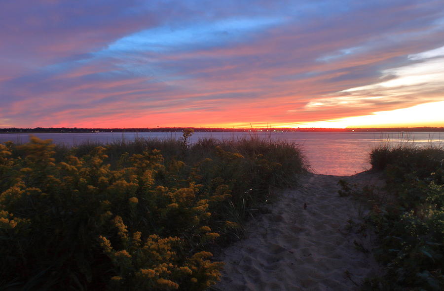 Plum Island Beach Sunset and Goldenrod Photograph by John Burk