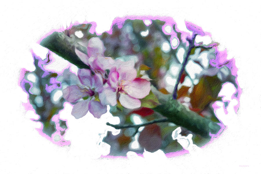Plum Pink Blossom 2 Photograph by Diane Lindon Coy