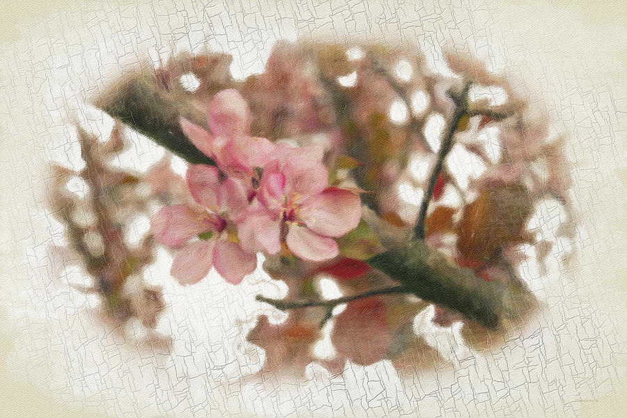 Plum Pink Blossom Photograph by Diane Lindon Coy
