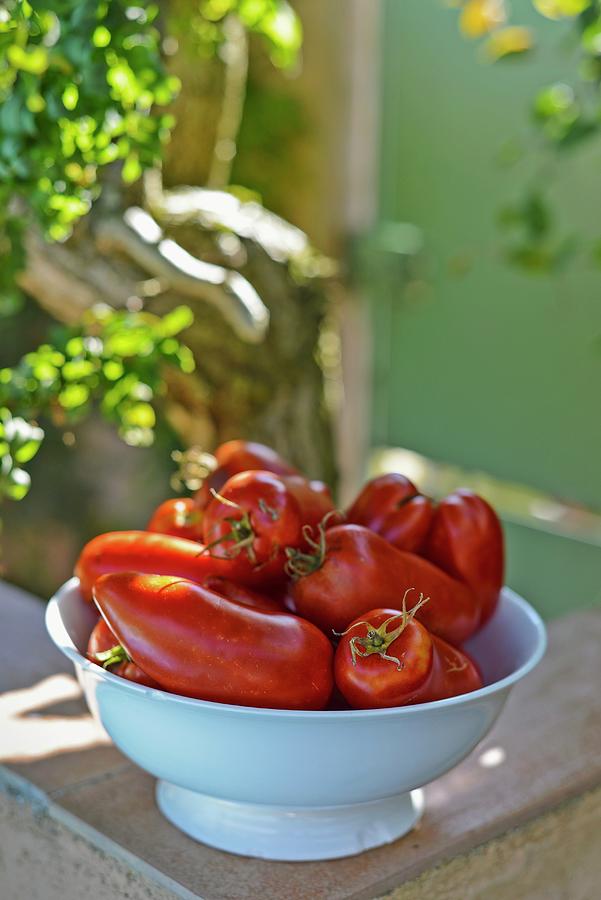 Plum Tomatoes In A Bowl On A Table Outside Photograph by Roger Stowell