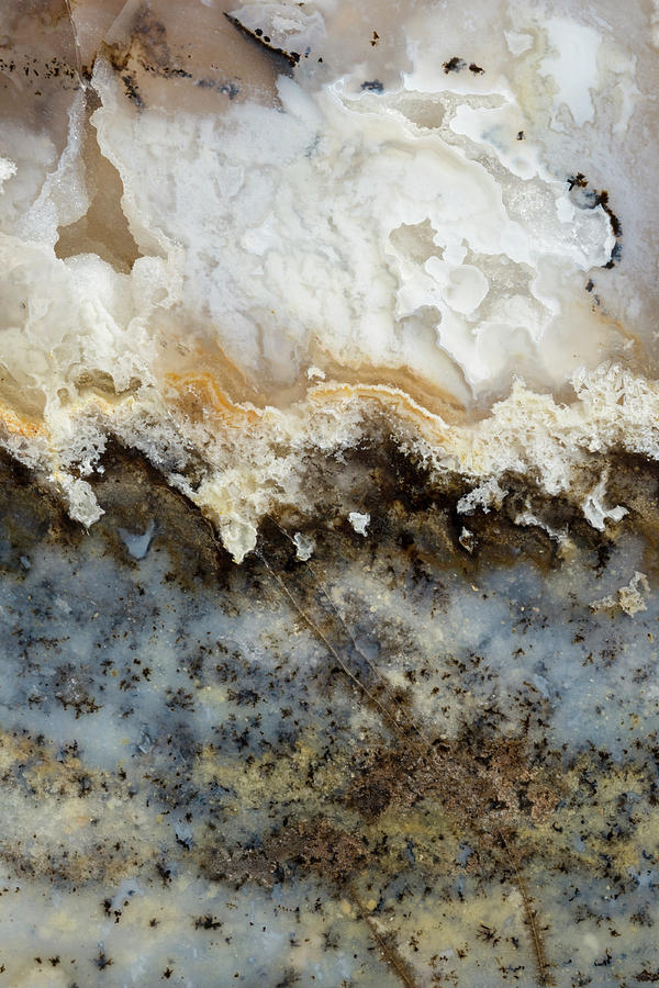 Plume Agate Photograph by Mark Windom