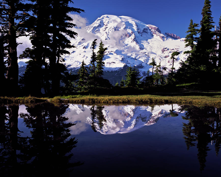 Plummer Peak Tarn reflection of Mt Rainier. Photograph by Larry Geddis ...