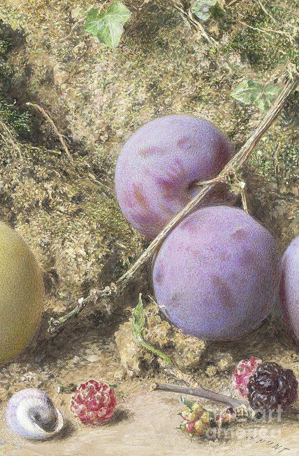 Plums and Mulberries Detail Painting by William Henry Hunt