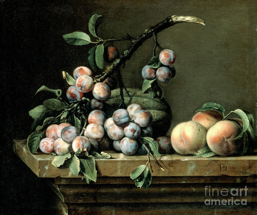 Plums, Melon And Peaches, C1630-1680 Drawing by Print Collector