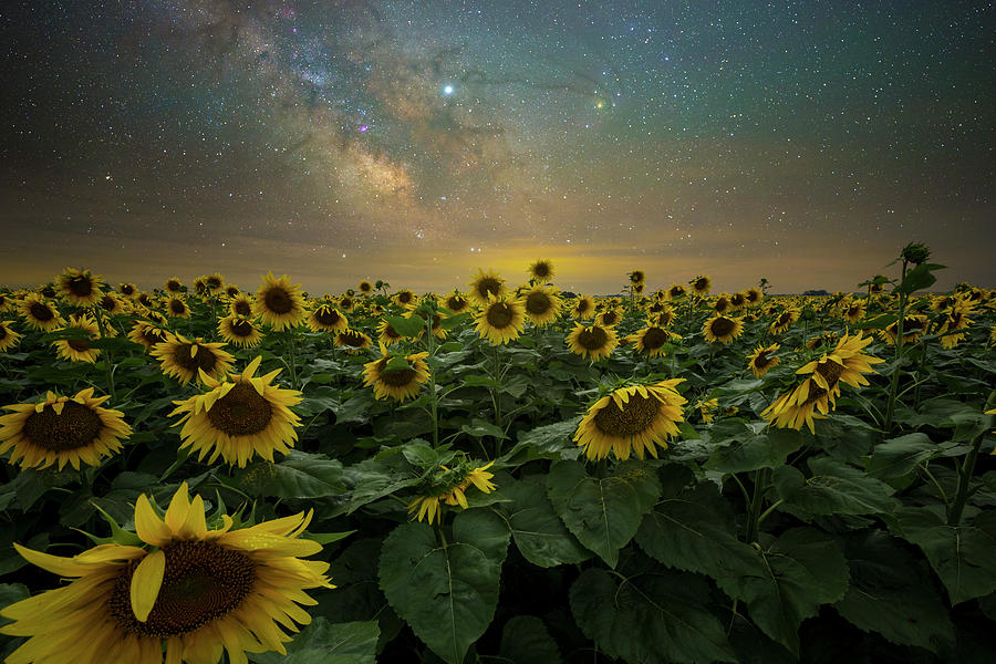 Creative Soul Photograph - Pneuma by Aaron J Groen Creative Soul Photograph - Pneuma by Aaron J Groen