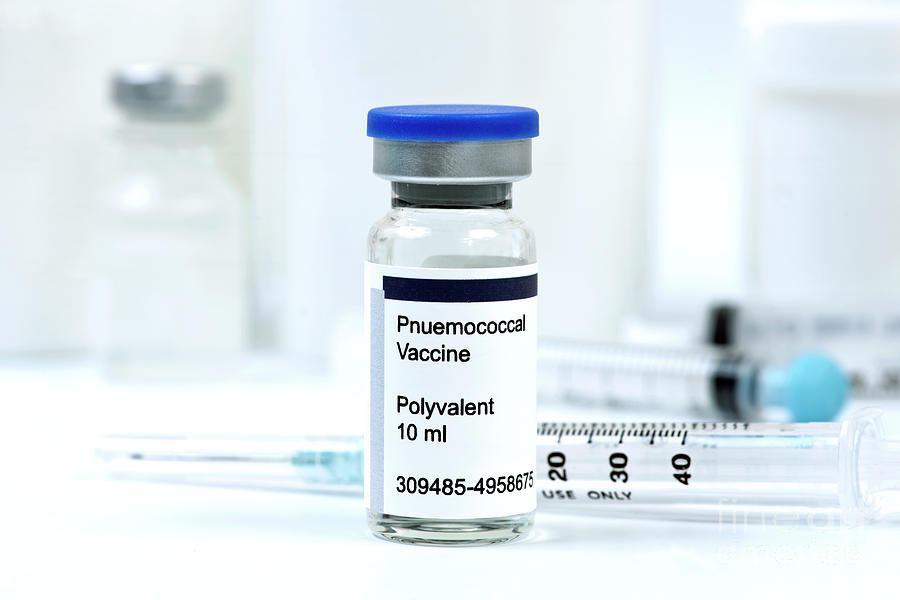 Pneumococcal Vaccine Photograph by Sherry Yates Young/science Photo ...