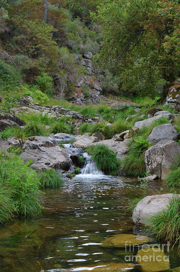 River Photograph - Poco Negro River In Carvalhais by Angelo DeVal River Photograph - Poco Negro River In Carvalhais by Angelo DeVal