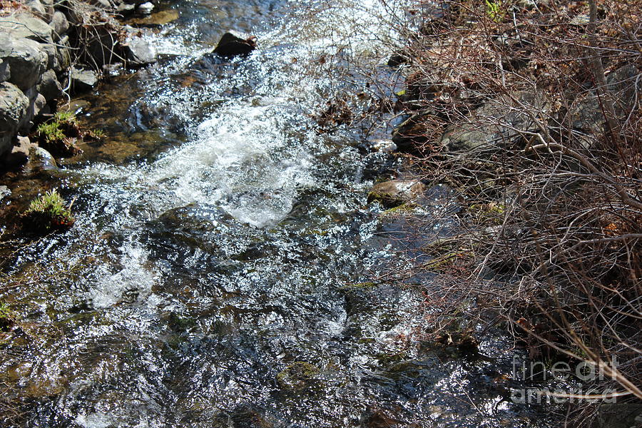 Poconos fast moving stream Photograph by Barbra Telfer
