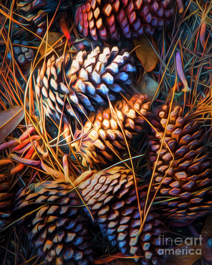 Pods and Vines by Hugh Walker Pods and Vines by Hugh Walker