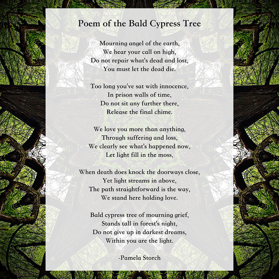 Tree Digital Art - Poem of the Bald Cypress Tree by Pamela Storch