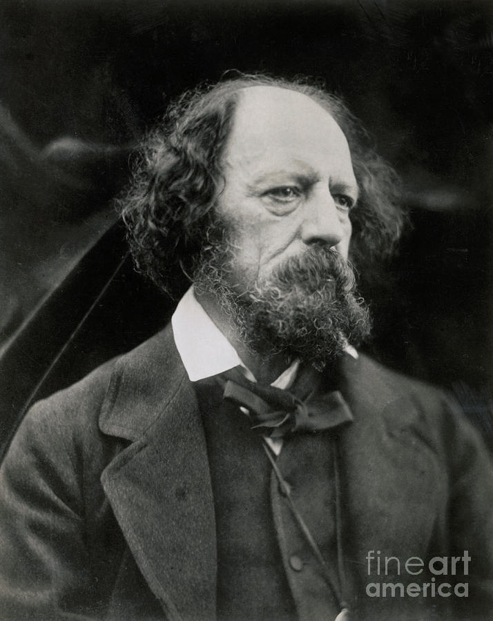 Poet Alfred Tennyson Photograph by Bettmann