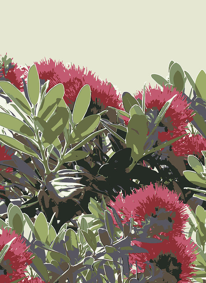 Pohutukawa New Zealand Christmas Tree by Jocelyn Friis Pohutukawa New Zealand Christmas Tree by Jocelyn Friis