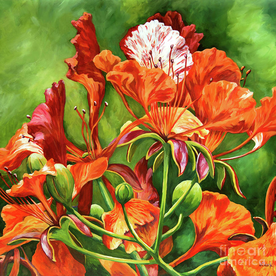 Poinciana Detail Square Painting by John Clark