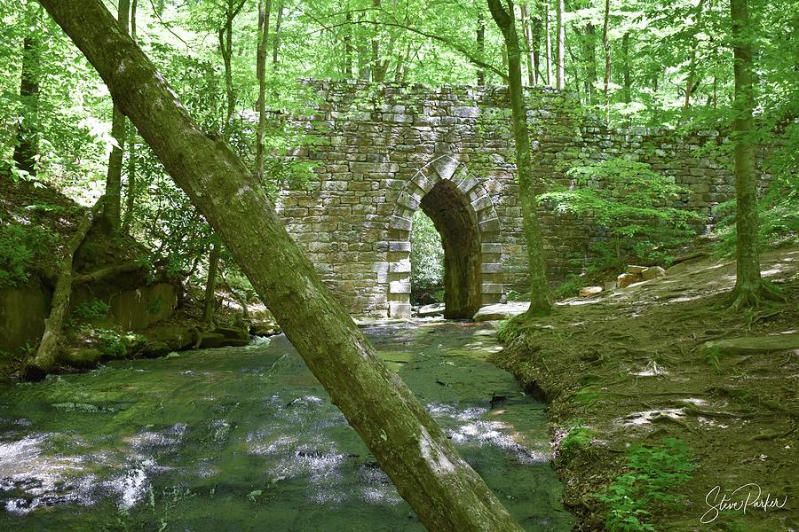 Poinsett Bridge Photograph by Steve Parker | Fine Art America