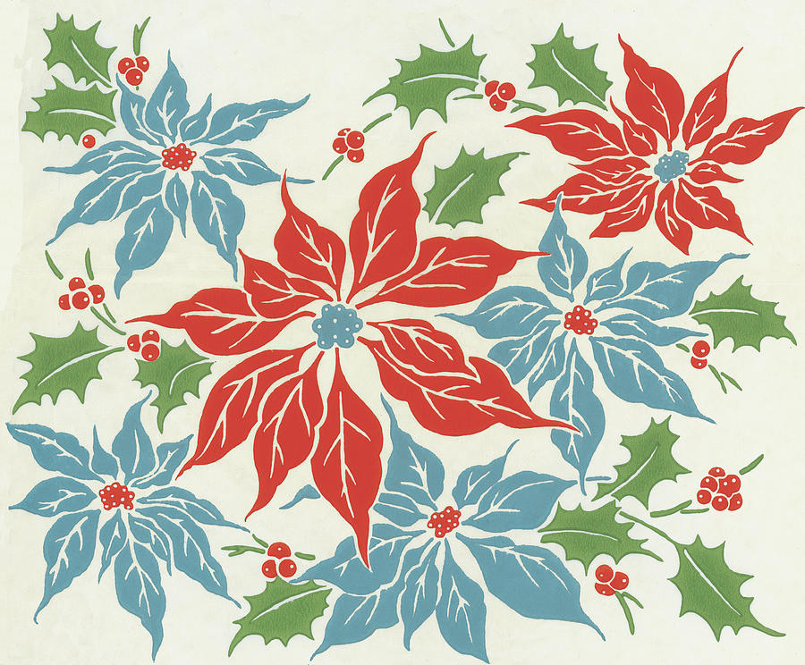 Christmas Drawing - Poinsettia by CSA Images