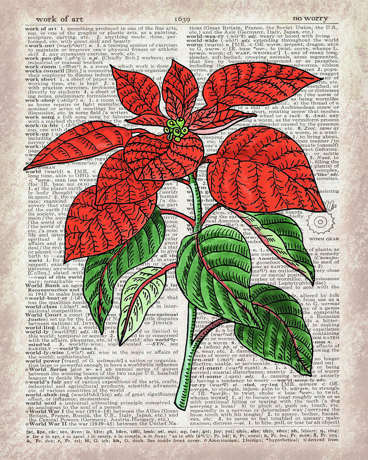 Poinsettia Dictionary Page Watercolor Art  Painting by Irina Sztukowski