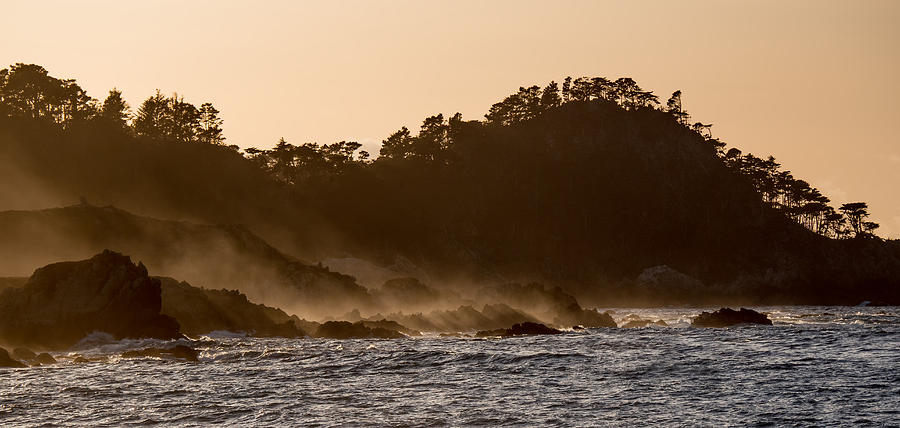 Point Lobos Afternoon Photograph by Derek Dean