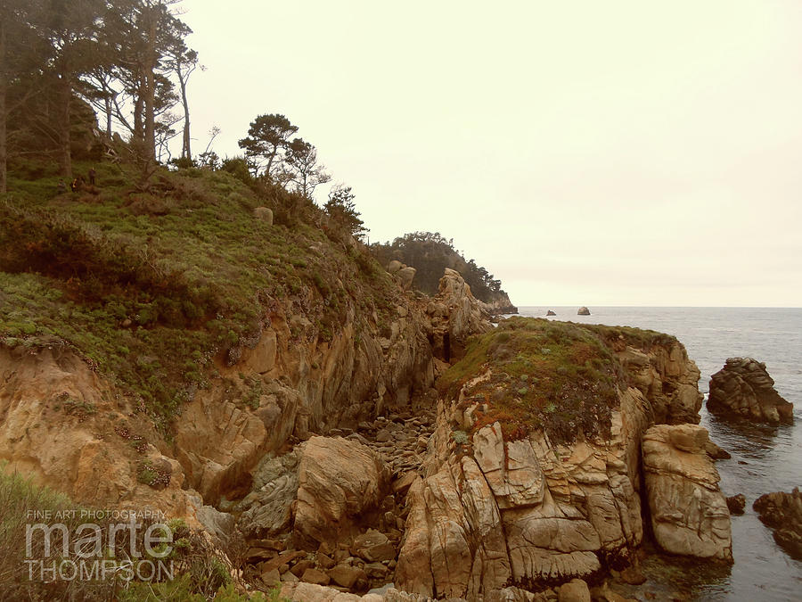 Point Lobos Photograph - Point Lobos Afternoon by Marte Thompson