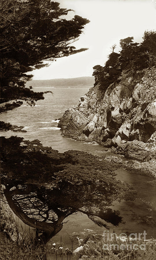 Point Lobos and Carmel Bay Circa 1895 Photograph by Monterey County Historical Society