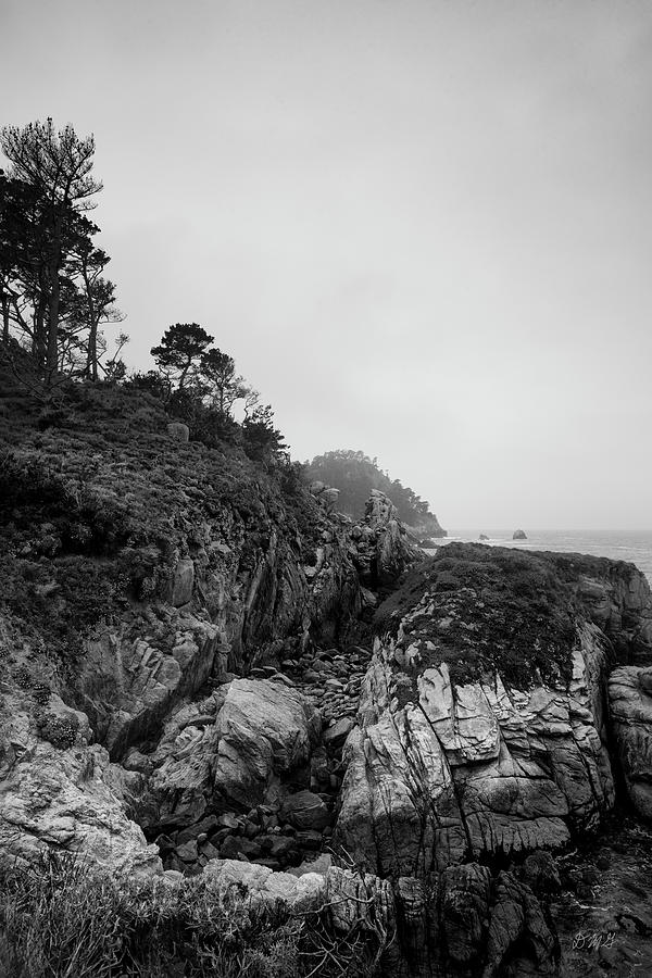 Point Lobos XIV BW Photograph by David Gordon