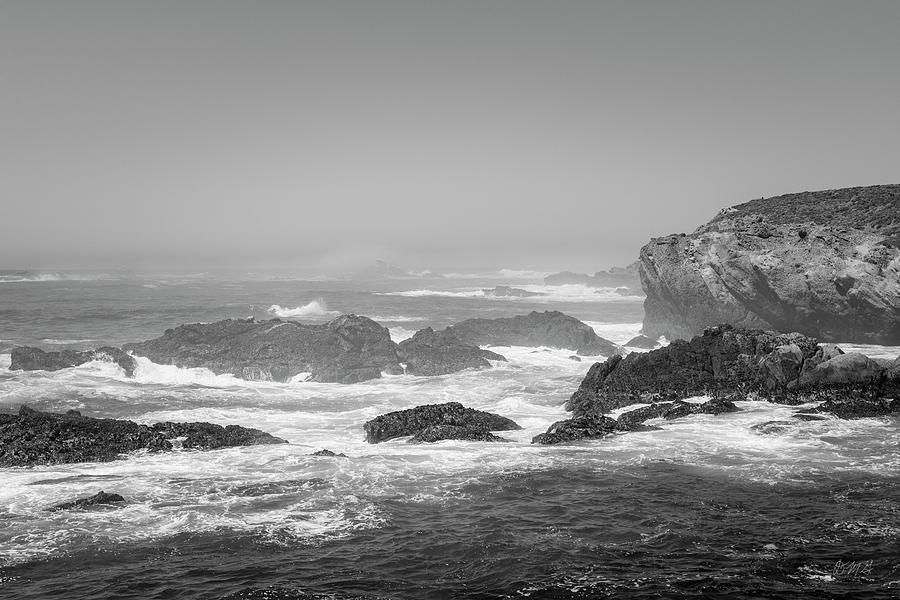 Point Lobos XVIII BW Photograph by David Gordon