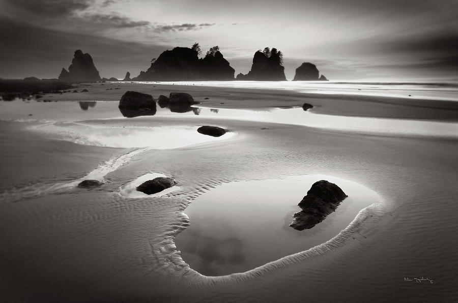 Olympic National Park Photograph - Point Of Arches by Alan Majchrowicz