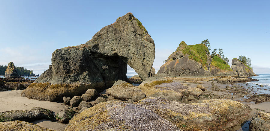 Point of Arches at Olympic National Park Photograph by Alex Mironyuk