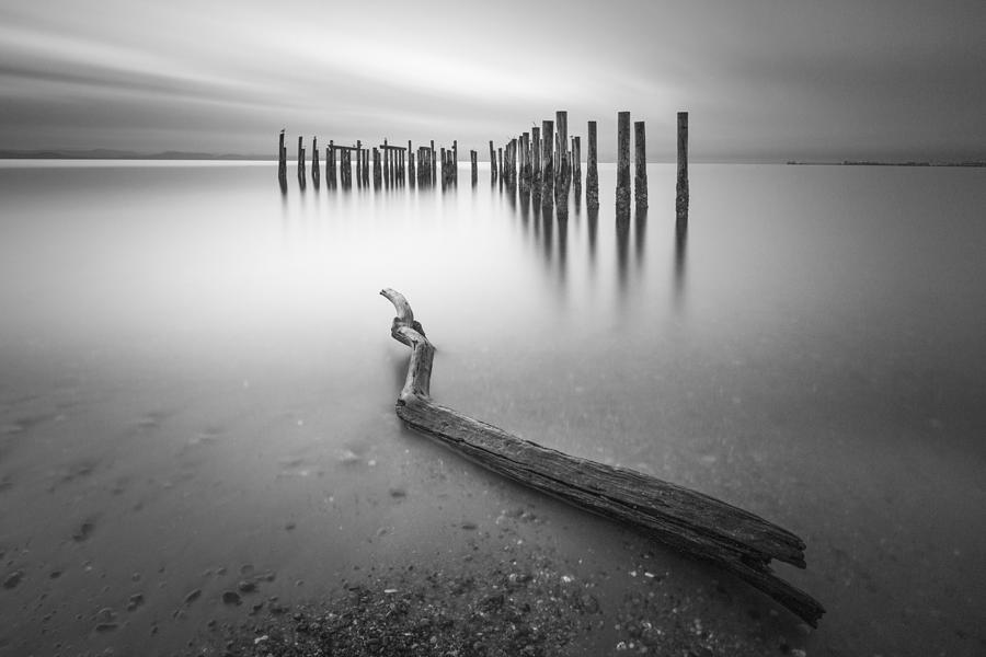 Black And White Photograph - Point Robert by Tony  Xu