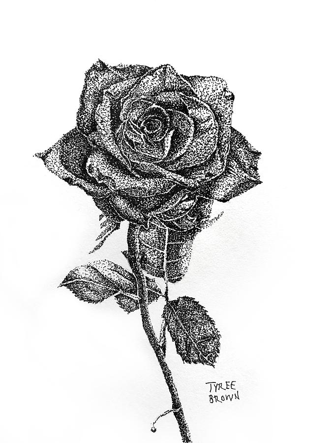 Pointillism Rose Drawing By Tyree Brown