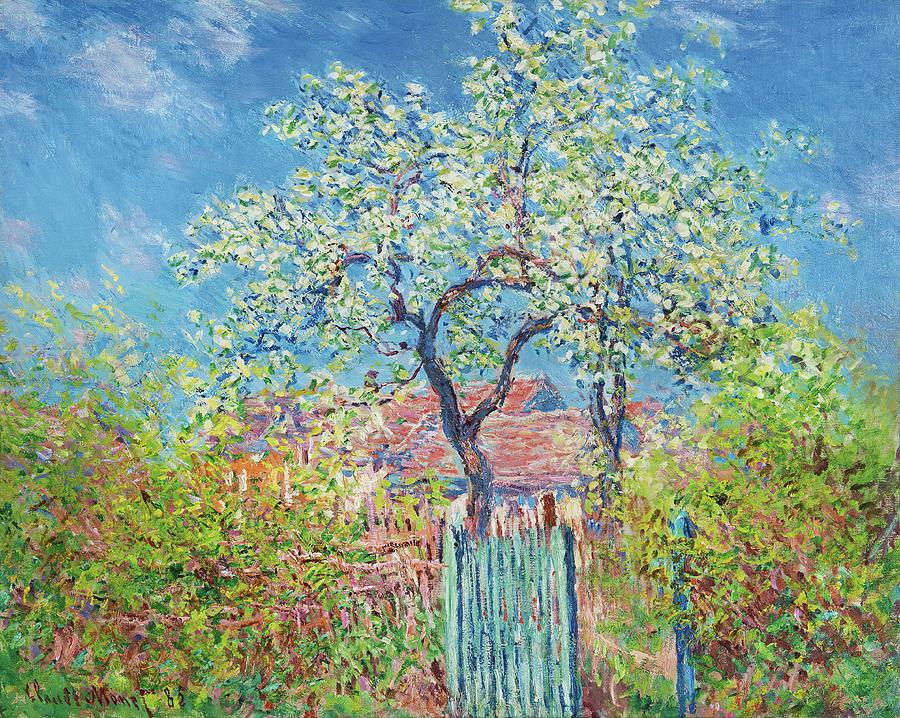 Claude Monet Painting - Poirier En Fleurs by Claude Monet