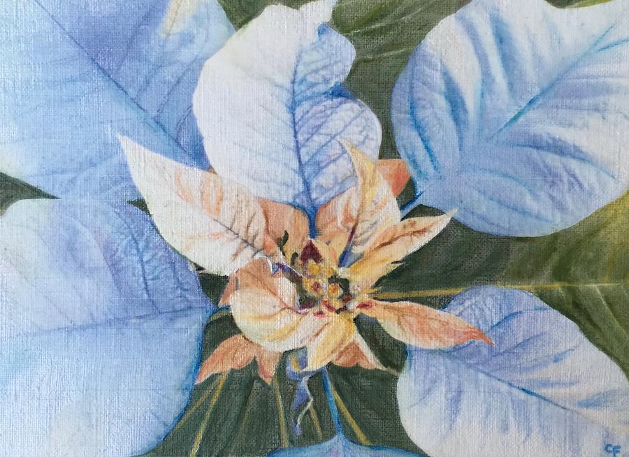 Poinsettia Painting by Cara Frafjord