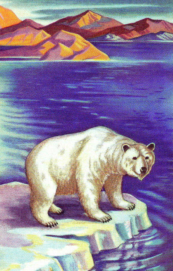Nature Drawing - Polar Bear by CSA Images