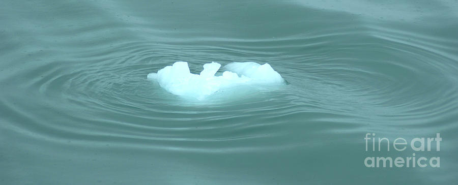 Polar Bear Iceberg Photograph by Denise Bruchman
