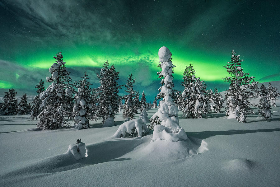 Polar Night Photograph by Raymond Hoffmann